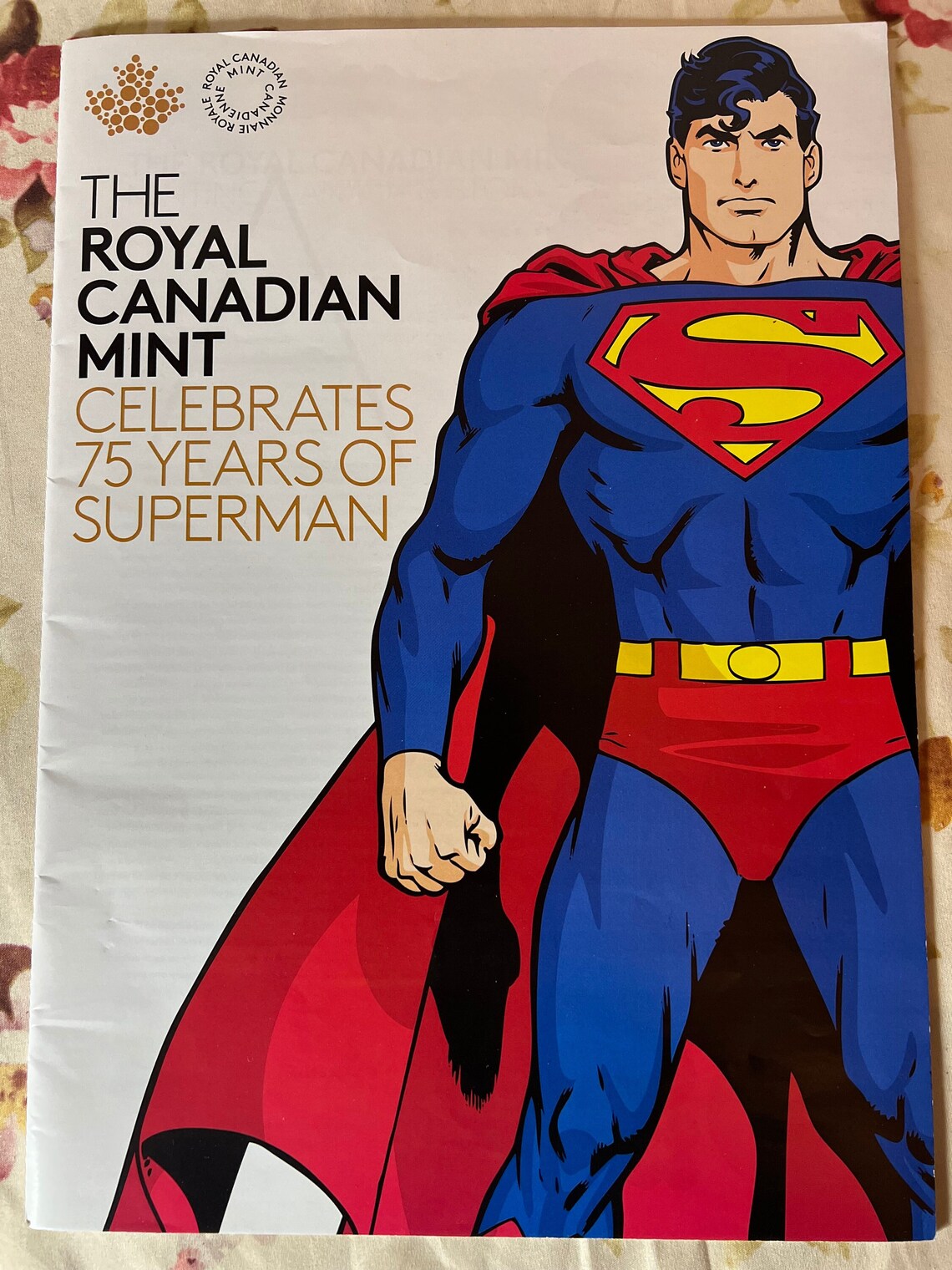 Rare! 2013 Canada Post Book Showing Product Issued 75th Anniversary Of Superman - Royaltreasuryhouse