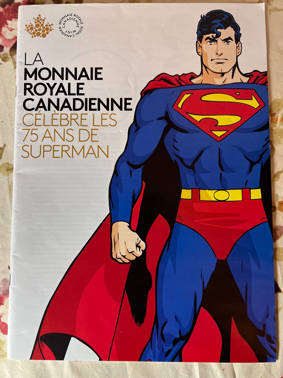 Rare! 2013 Canada Post Book Showing Product Issued 75th Anniversary Of Superman - Royaltreasuryhouse